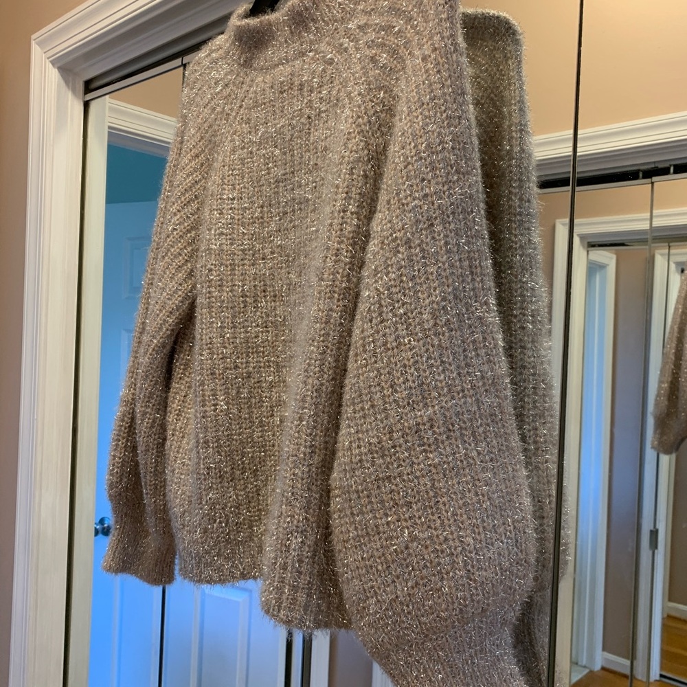 NWT 1X with metallic shine embellished yarn sweater.
